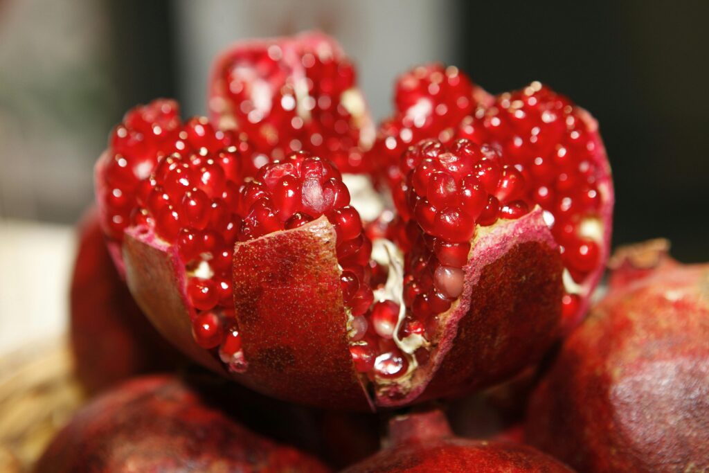 Fermosa - 100% natural fermented aperitif.